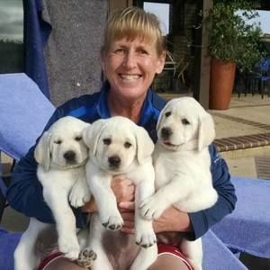 Meet your Posher, Kristin